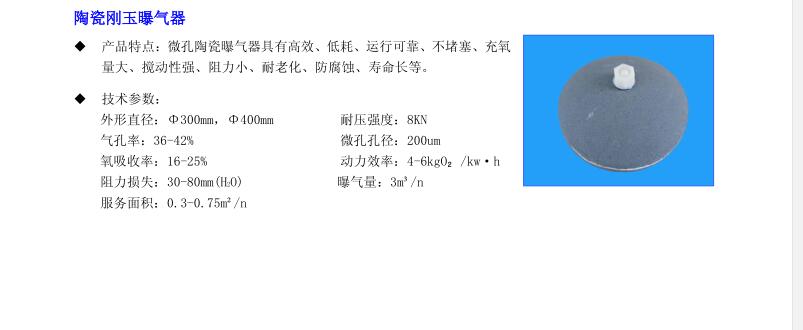 陶瓷剛玉曝氣器1.jpg
